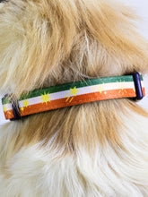 Dog Collar - Festive Stripe Sparkle